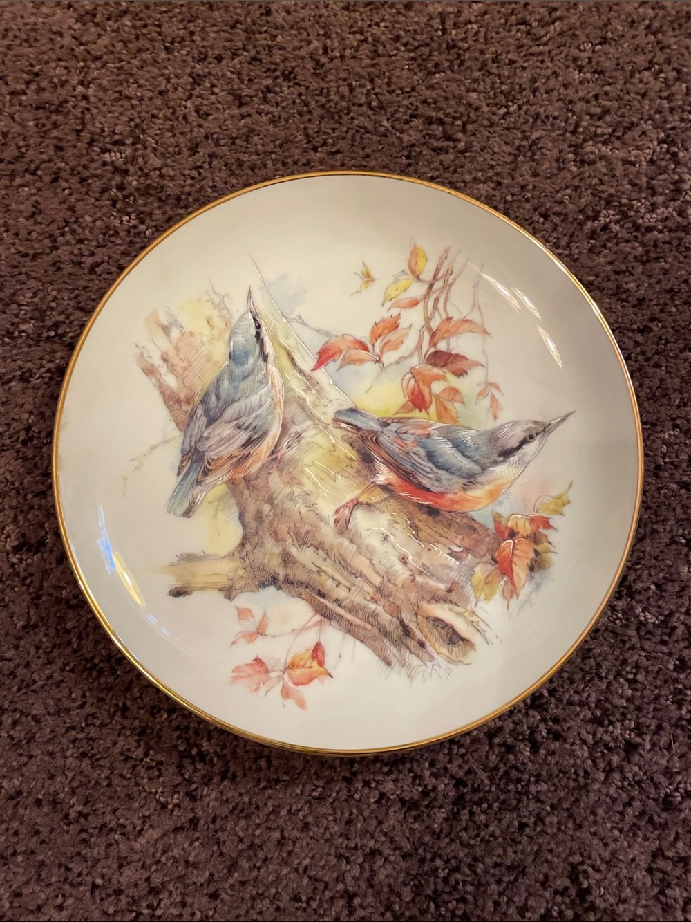 Hand Painted Porcelain Bread Butter Plate Nuthatches on Branch England